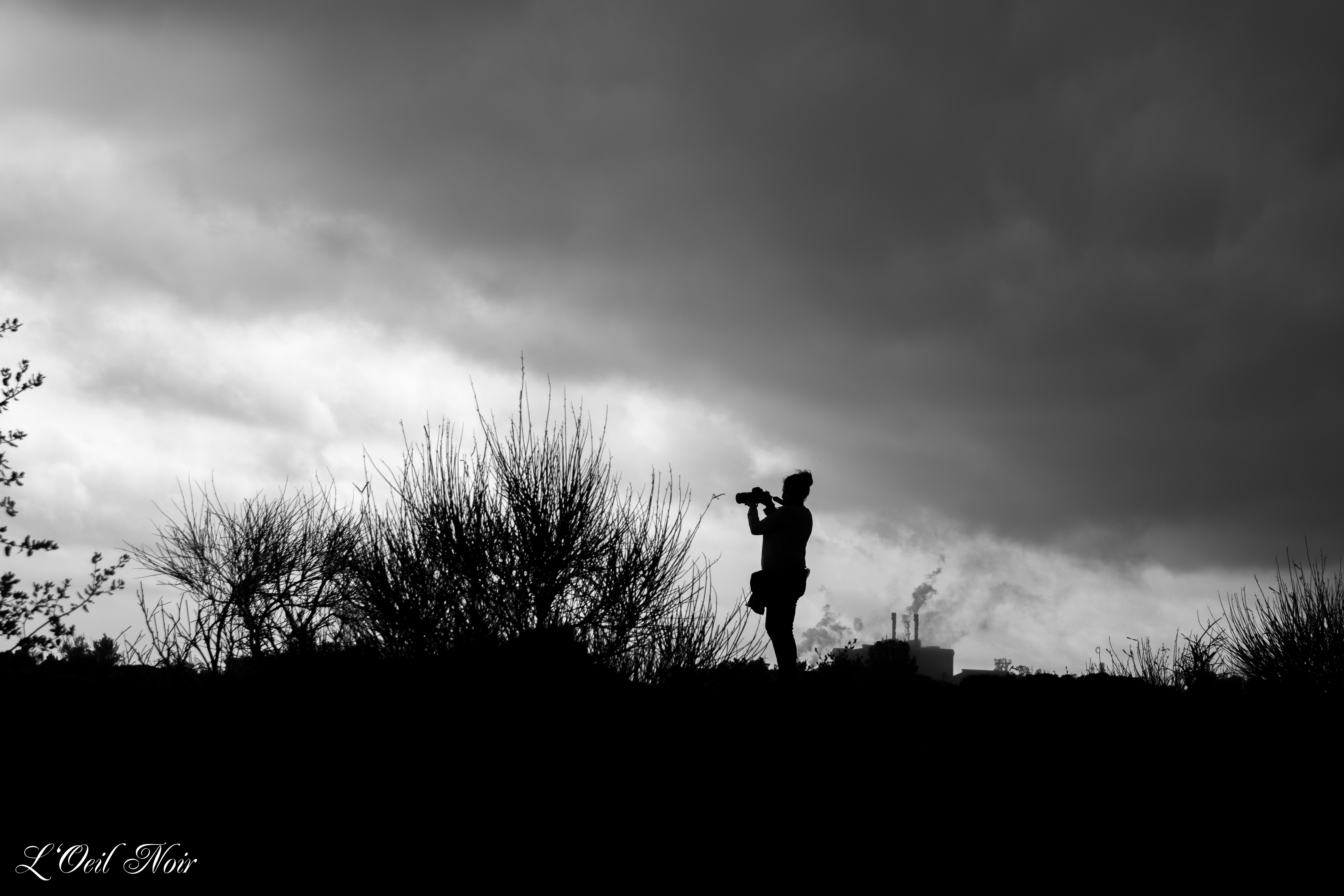 L' Oeil Noir Photographe